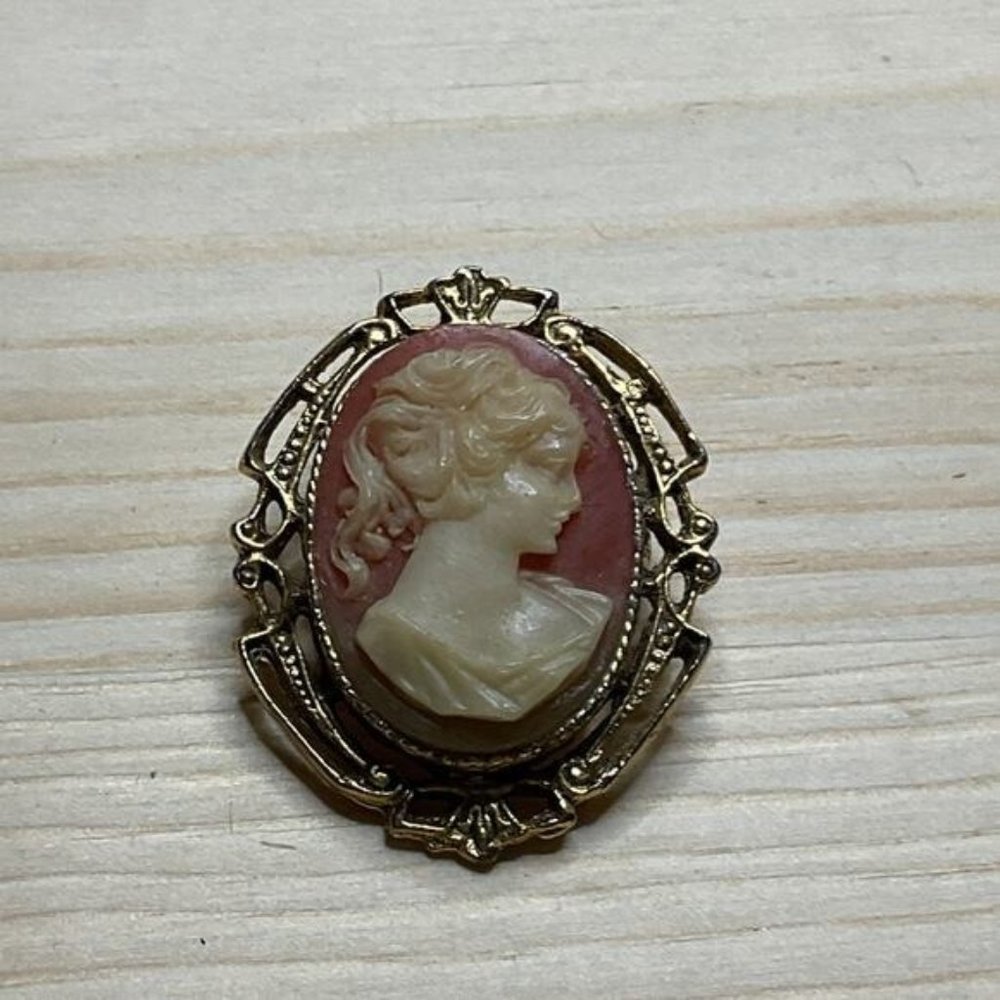 Vintage Cameo Brooch Pin With Gold-Tone Frame & Red Background